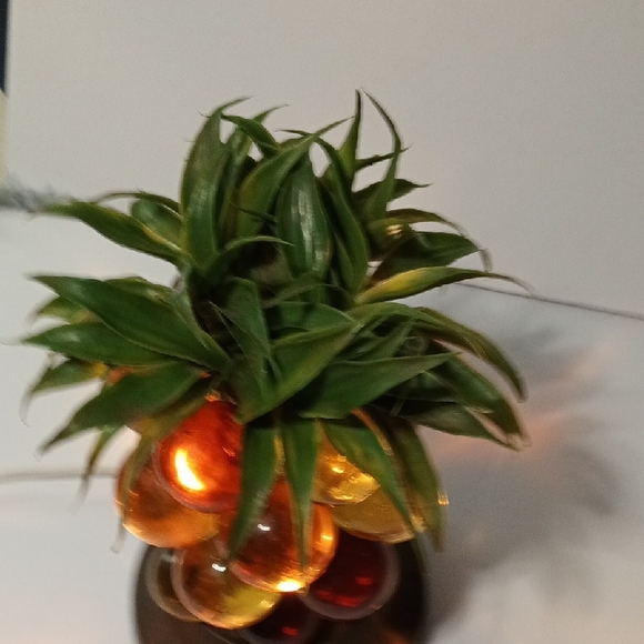 Vintage 1960's Lucite Pineapple Table Lamp with Greenery - Picture 4 of 6